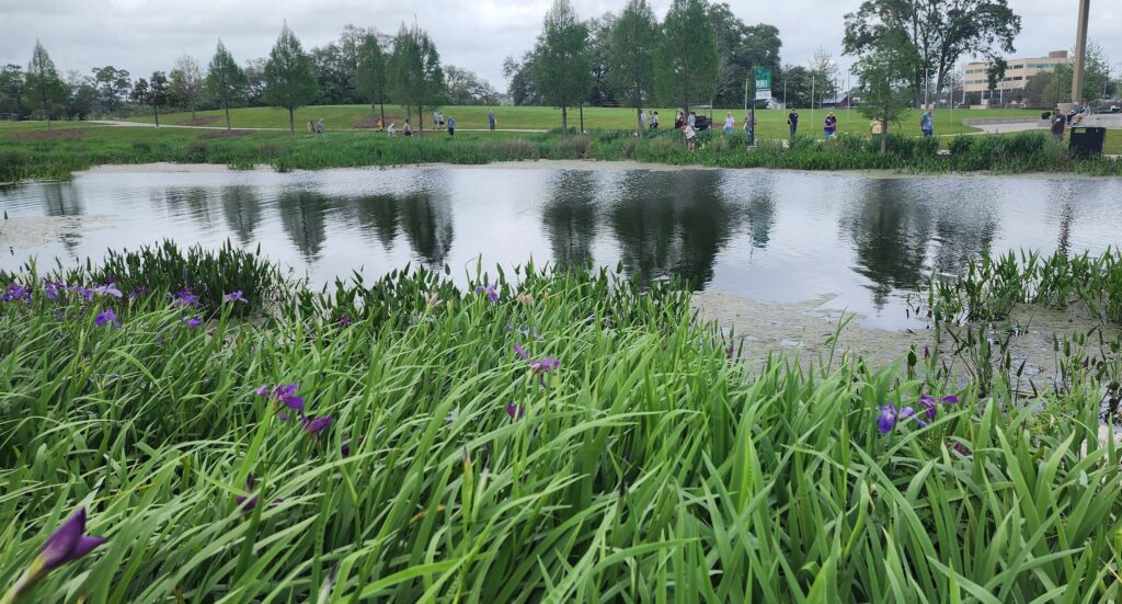 SLI members identify irises at Moncus Park in April 2025.