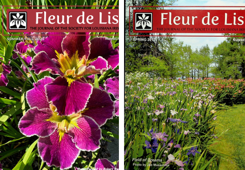 Fleur de Lis covers